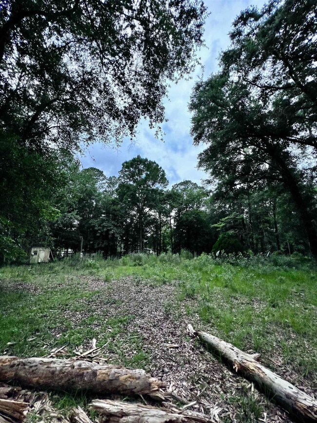 136 Fontaine Cir, Crawfordville, FL 32327 - photo 3