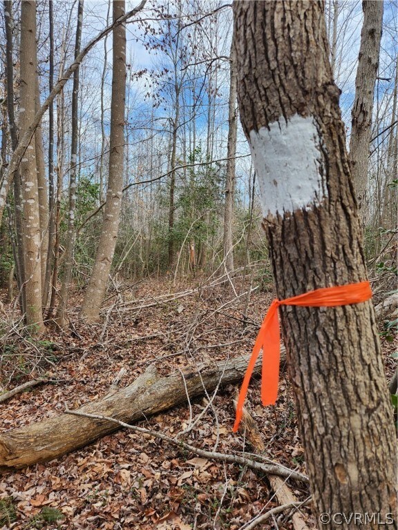 recent survey markings
