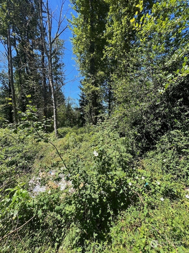 14000 Center Rd, Everett, WA 98204 - photo 3