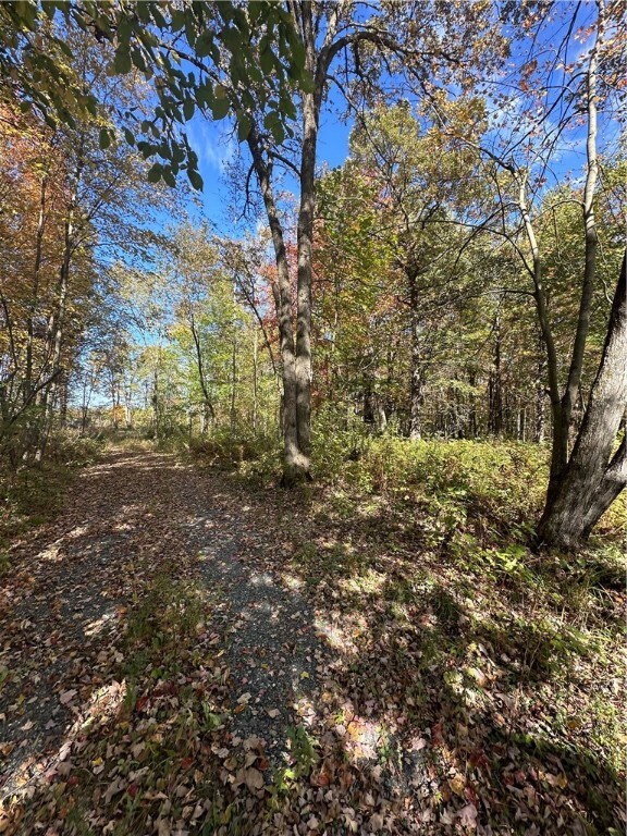 0 Wisconsin 95, Alma Center, WI 54611 - photo 3