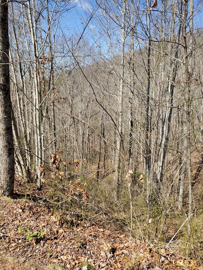 00 Roy Cook Rd, Franklin, NC 28734 - photo 3