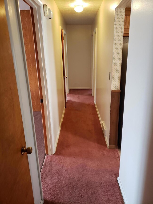 197 S Napoleon Ave, Columbus, OH 43213 - photo 4