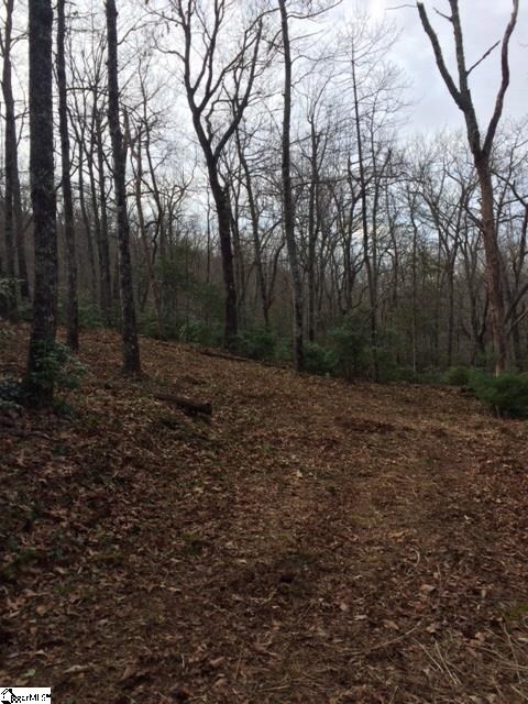 0 Panther Mountain Rd unit 1290630, Travelers Rest, SC 29690 - photo 3