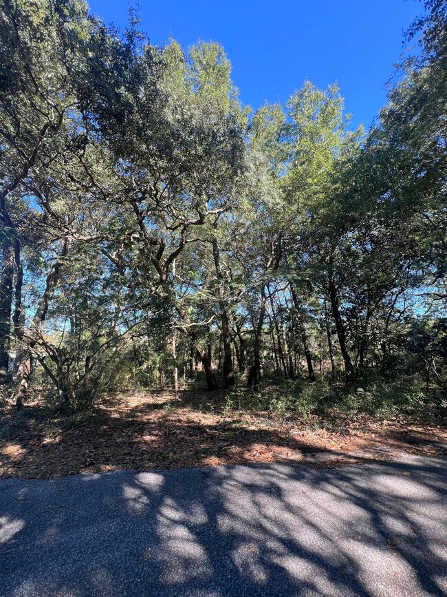 00 Kylea Laird Dr, Freeport, FL 32439 - photo 4