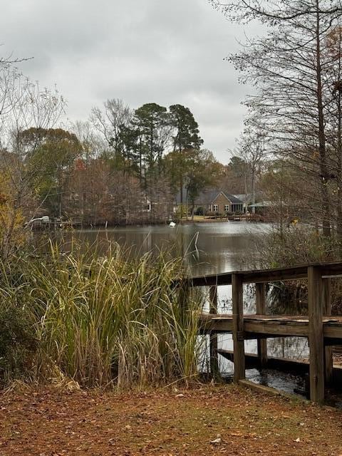 254 Ridge Lake Dr, Manning, SC 29102 - photo 5