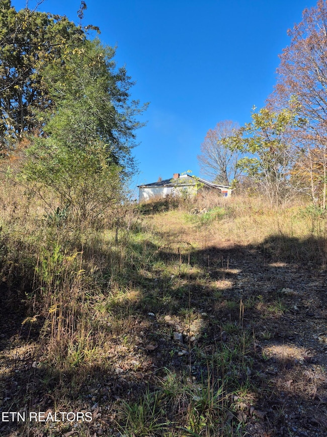 IMG_20251110_191827 (5)