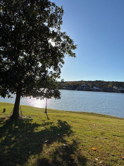 24 Lakeview Manor, Huntsville, TX 77320 - photo 3