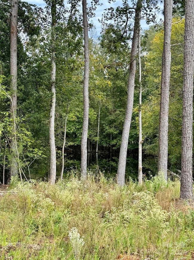 2232 Monroe Hwy, Lancaster, SC 29720 - photo 2