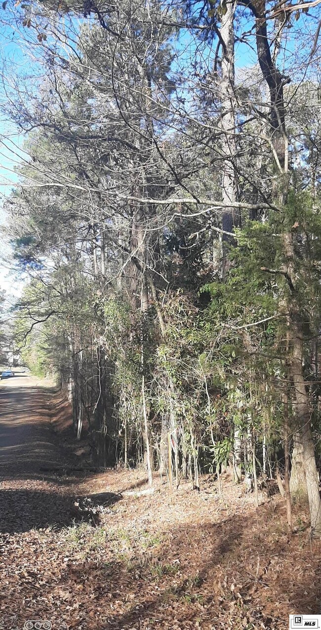 000 W Alabama Ave, Ruston, LA 71270 - photo 4