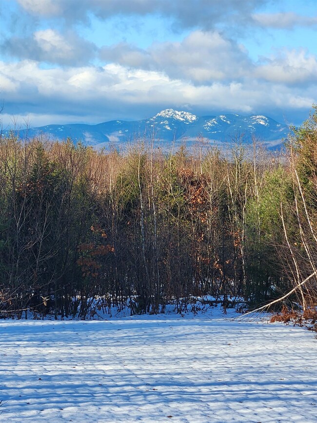 42 Amber Way, Center Conway, NH 03813 - photo 5