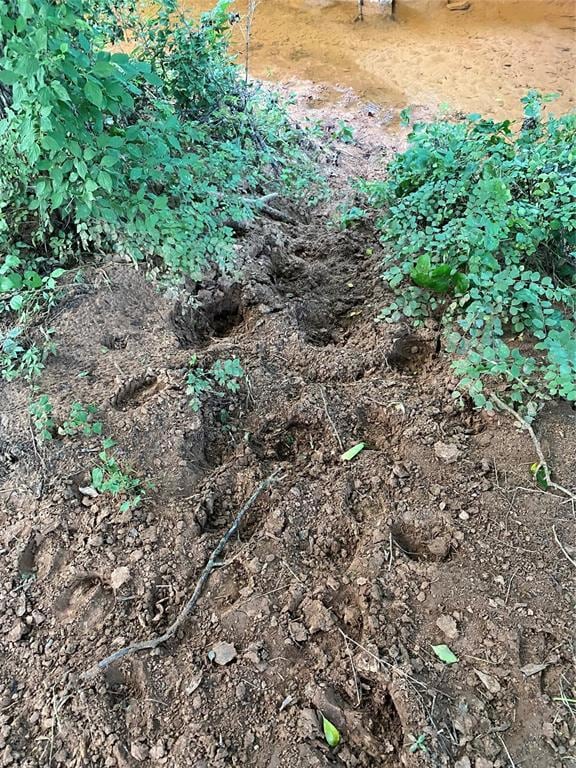 40 Acres Mol North Highway 74 and Cr 69, Crescent, OK 73028 - photo 3