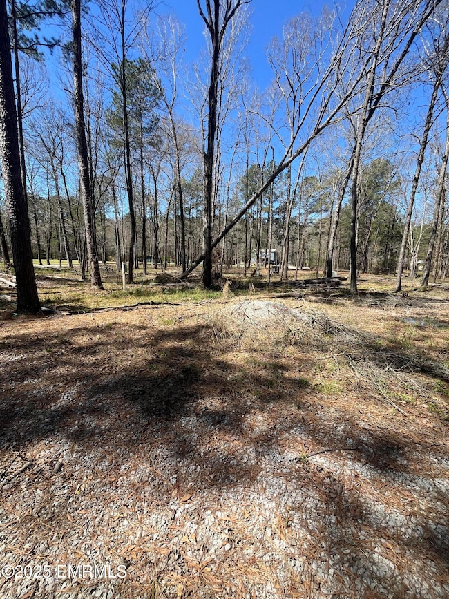 1204 L Ratliff Ferry Rd, Canton, MS 39046 - photo 5