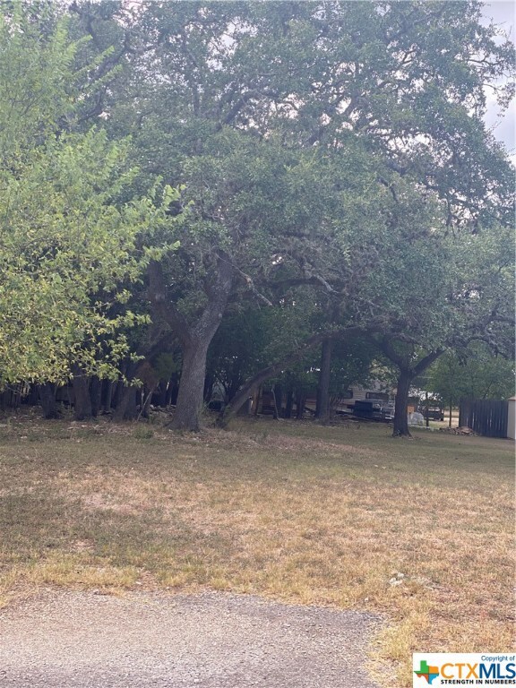 1506 Delmar St, San Marcos, TX 78666 - photo 3