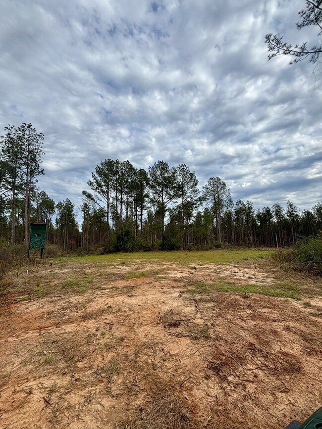 tbd Wall St, Osyka, MS 39657 - photo 2