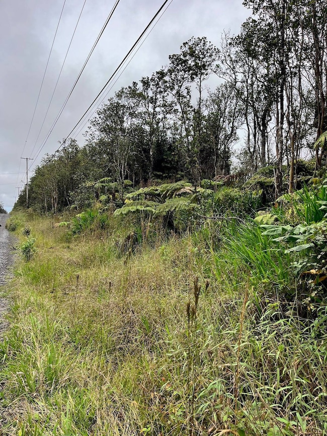 11-2889 Kaleponi Rd, Volcano, HI 96785 - photo 5