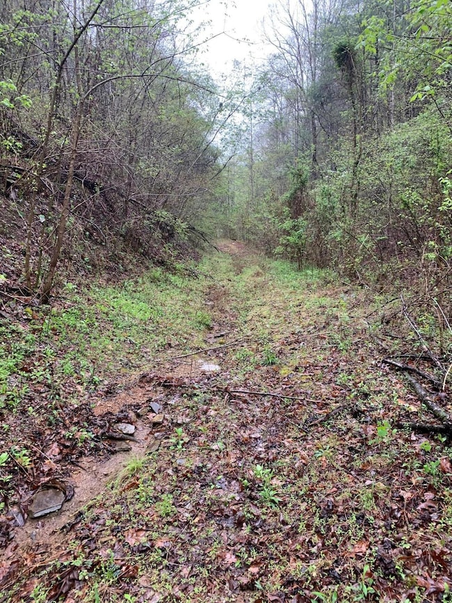 0 Cane Creek Mtn Rd unit 1525007, Tellico Plains, TN 37385 - photo 2