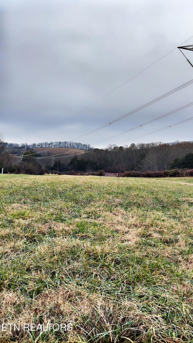 0 Campbells Point Rd, Corryton, TN 37721 - photo 5