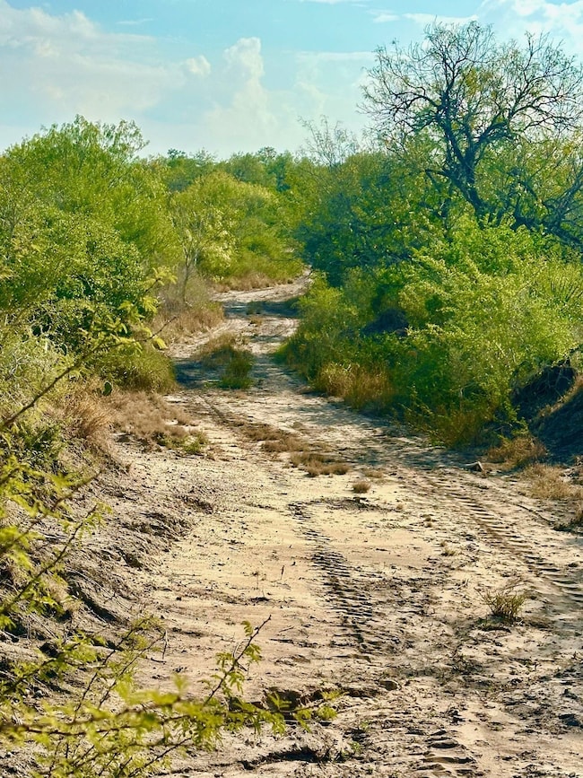 343 County Road 436, Three Rivers, TX 78071 - photo 7