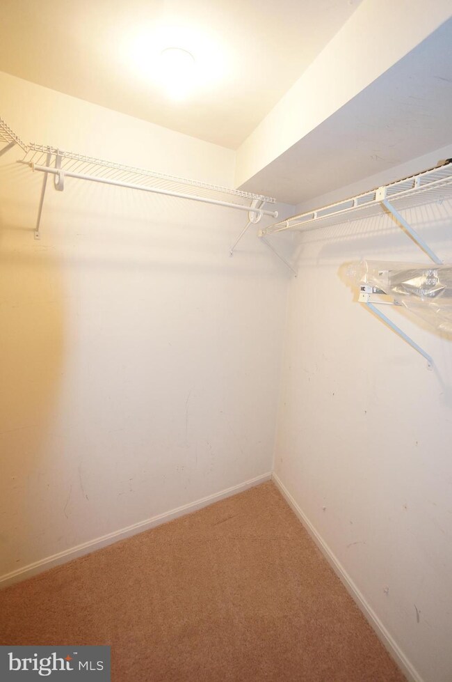 11926 Redtree Way, Reston, VA 20194 - photo 5