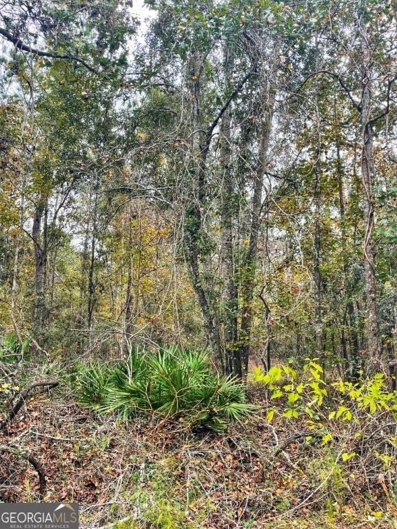 0 US Highway 98 unit 10649270, Perry, FL - photo 2