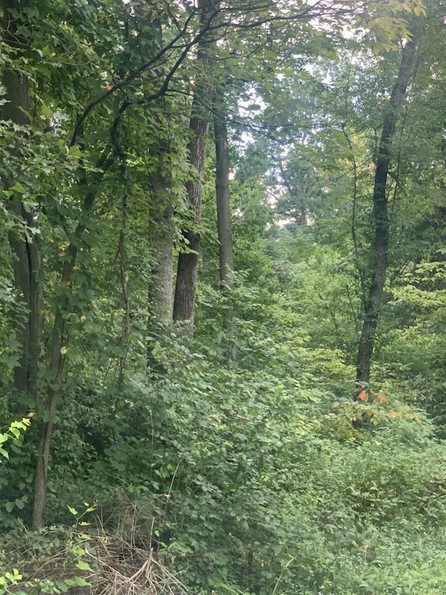 365 Clarence Dr, Saint Charles, MO 63303 - photo 6