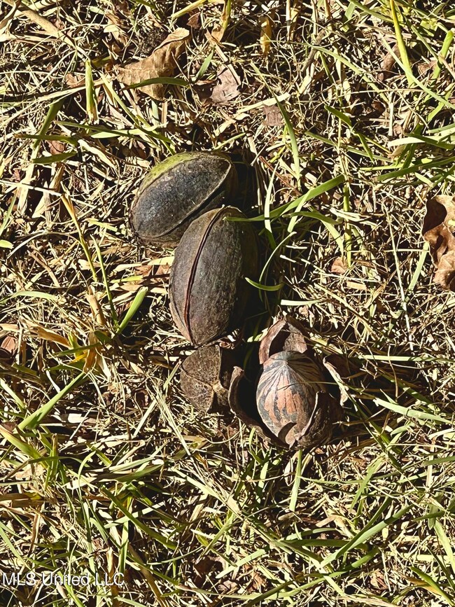 13230 Highway 26 W, Lucedale, MS 39452 - photo 4