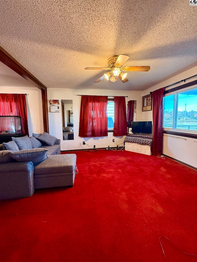 313 W 1st St, Newton, KS 67114 - photo 5