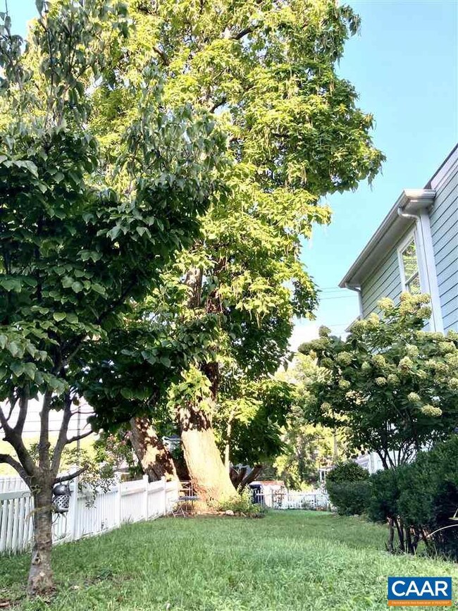 412 5th St SW, Charlottesville, VA 22903 - photo 3