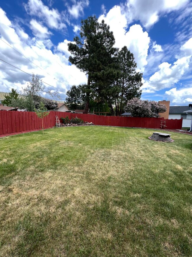 Backyard1