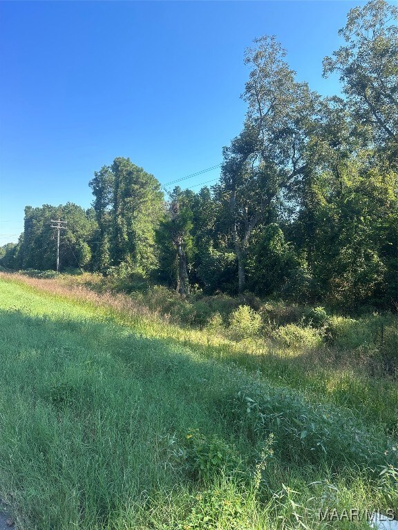 0 Highway 87 unit 552141, Troy, AL 36079 - photo 4