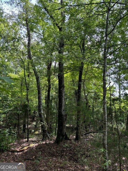0 Chappell Mill Rd unit 10576810, Milner, GA 30257 - photo 6
