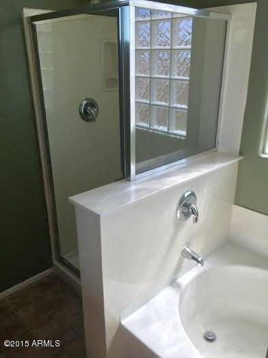 Master Bath Tub and Shower