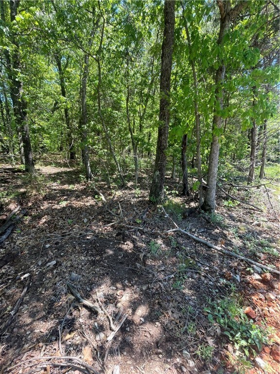 0 Boswell Cir, Bella Vista, AR 72715 - photo 4