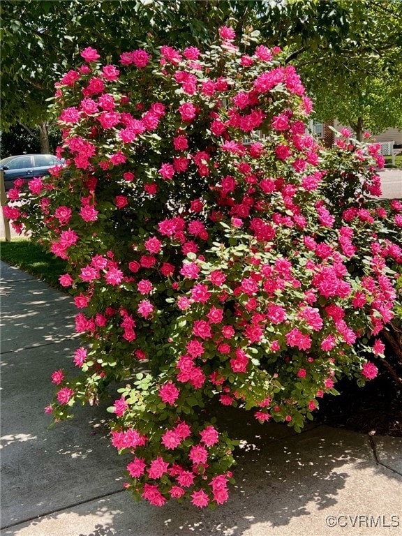 Landscaping!