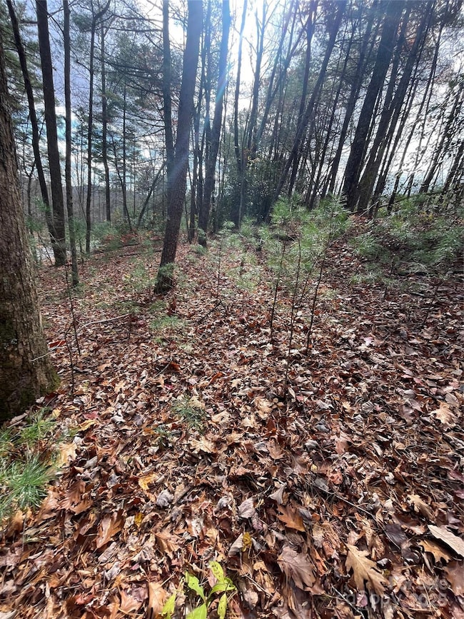 00 Pinnacle Falls Ln, Zirconia, NC 28790 - photo 5