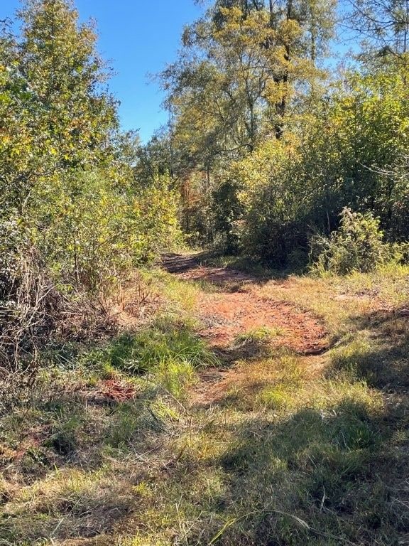 0 Highway 36 E unit 25704971, Jackson, GA 30233 - photo 7