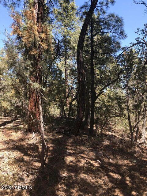 Parcel 1 N Pine Hollow Trail unit 2, Pine, AZ 85544 - photo 6