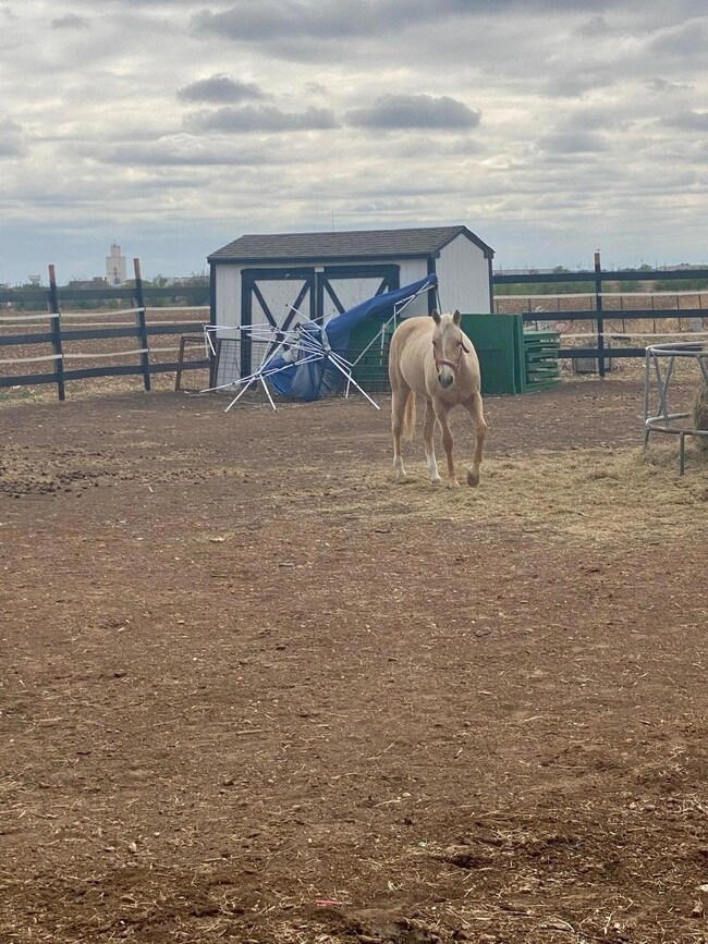 3313 N Columbia St, Plainview, TX 79072 - photo 7