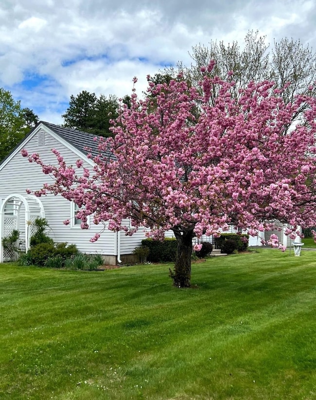 43 Branch Turnpike, Concord, NH 03301 - photo 2