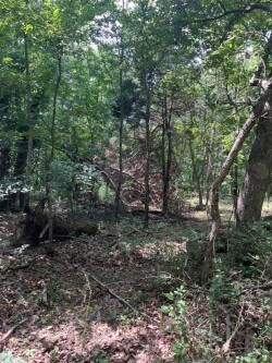 0 Strathdon Ln, Bella Vista, AR 72715 - photo 2