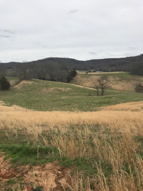 00 Cherry Creek Rd, Cookeville, TN 38506 - photo 6