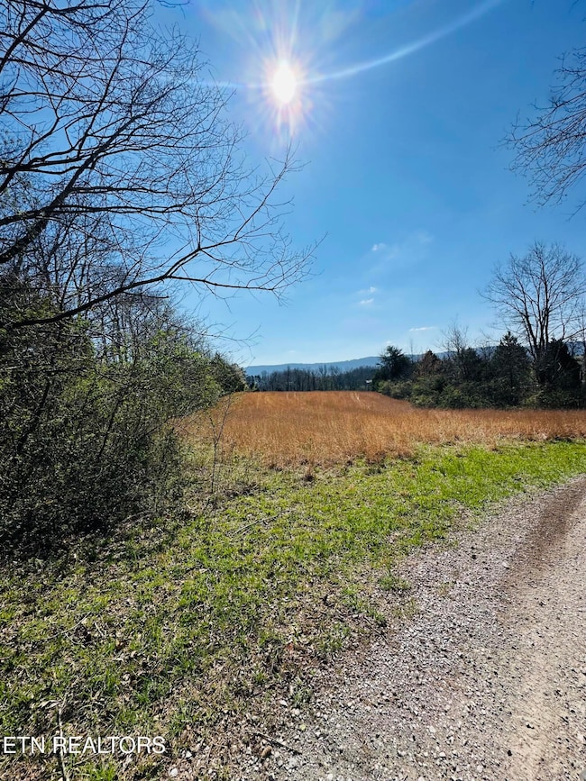 0 US 127, Pikeville, TN 37367 - photo 5