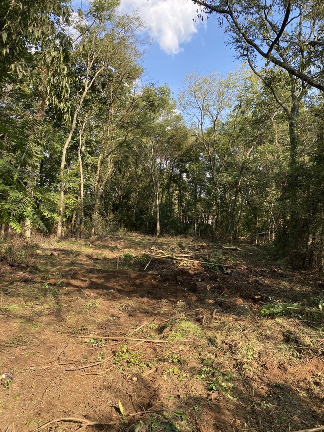 Cleared driveway path.