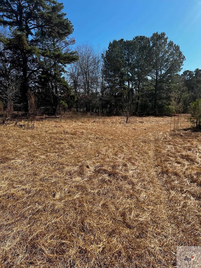 1977 Presley Rd, Texarkana, TX 75501 - photo 2