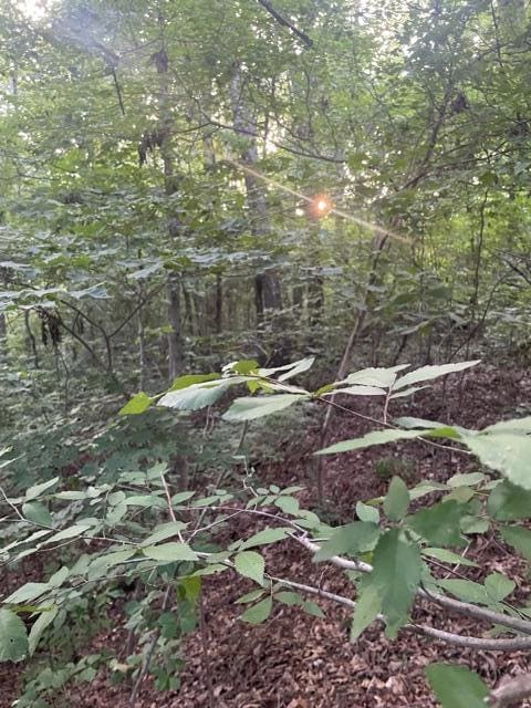 image6