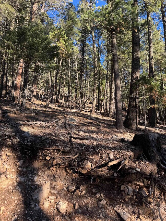 0 Forest View Rd unit 171893, Cloudcroft, NM 88317 - photo 7