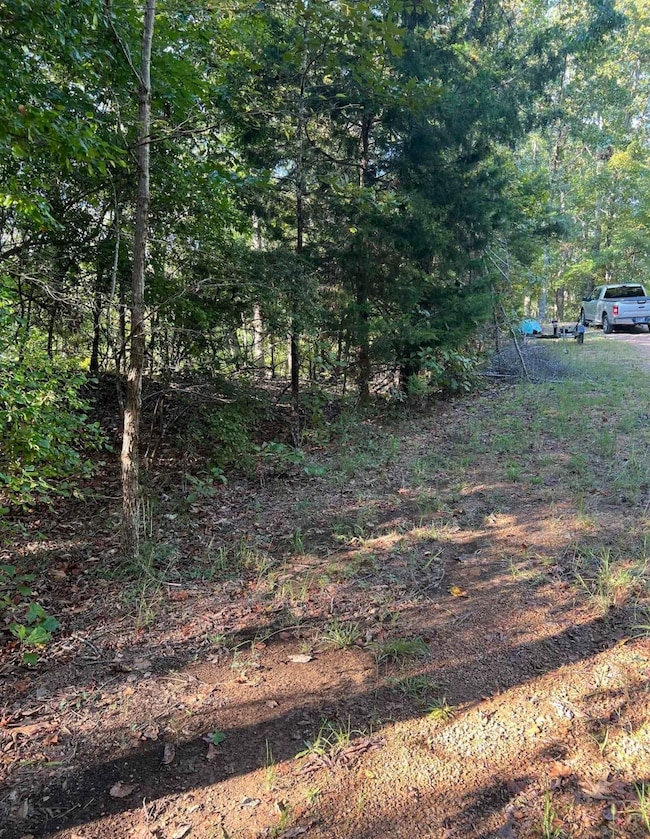 323 Red Oak Cove, Saulsbury, TN 38067 - photo 3