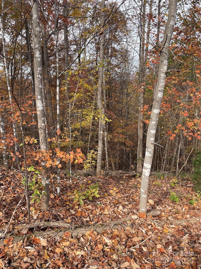 V/L Lot 72 & 170 Black Lark Dr, Marion, NC 28752 - photo 7