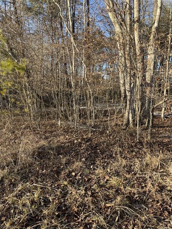 1179 Stephens Trail Rd unit 1179 Stephens Trail, Sandy Ridge, NC 27046 - photo 7