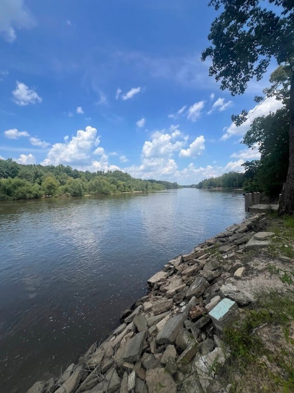 761 Addies Aly, Jesup, GA 31545 - photo 5